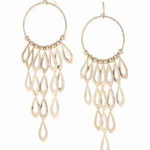 stella & dot ~ sexy tigris or tigress earrings